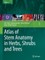 Atlas of Stem Anatomy in Herbs, Shrubs and Trees, Volume 1