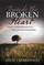 Inside the Broken Heart