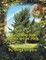 Grandfather Pine and His Special Place