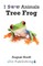 Tree Frog