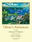 Oliver's Adventure