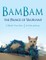 BamBam, the Prince of Valprivas!