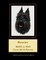 Bouvier