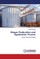 Biogas Production and Application Process