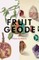 Fruit Geode