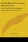 Is The Bible The Inerrant Word Of God