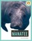 Manatee