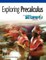 The Geometer's Sketchpad, Exploring Precalculus