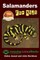 Salamanders For Kids
