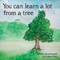 You Can Learn a Lot From a Tree