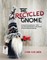 The Recycled Gnome