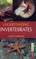 Understanding Invertebrates