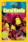 Coral Reefs