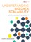 Understanding Big Data Scalability