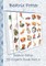 Beatrix Potter 99 Cliparts Book Part 3 ( Peter Rabbit )