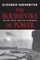The Bolsheviks in Power