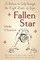 Fallen Star