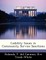 Liability Issues in Community Service Sanctions