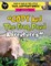 Cody And The Frog Pond Adventures