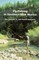 Fly-Fishing in Southern New Mexico