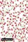 Blood Glucose Log