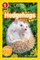 National Geographic Readers: Hedgehogs (Level 1)