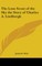 The Lone Scout of the Sky the Story of Charles A. Lindbergh