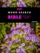 100 Word Search Bible Puzzle Book Large Print
