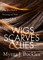 Wigs, Scarves & Lies