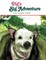 Pig's Big Adventure