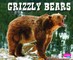 Grizzly Bears