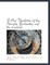 A New Translation of the Proverbs, Ecclesiastes, and the Canticles