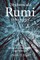 Desconocido Rumi
