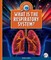 What Is the Respiratory Systerm?