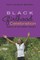 Black Girlhood Celebration; Toward a Hip-Hop Feminist Pedagogy