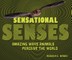 Sensational Senses