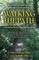 Walking the Path