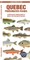 Quebec Fishes (English)