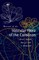 Manual of the Vascular Flora of the Carolinas