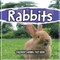 Rabbits