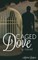Caged Dove