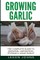 Growing Garlic - A Complete Guide to Growing, Harvesting & Using Garlic