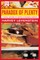 Paradox of Plenty