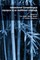 Pragmatics & Interaction