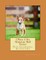 I Want A Pet Miniature Bull Terrier