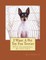 I Want A Pet Toy Fox Terrier