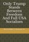 Only Trump Stands Between Freedom and Full USA Socialism