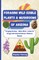 Foraging Wild Edible Plants & Mushrooms of Arizona