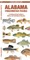 Alabama Freshwater Fishes