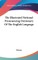 The Illustrated National Pronouncing Dictionary Of The English Language